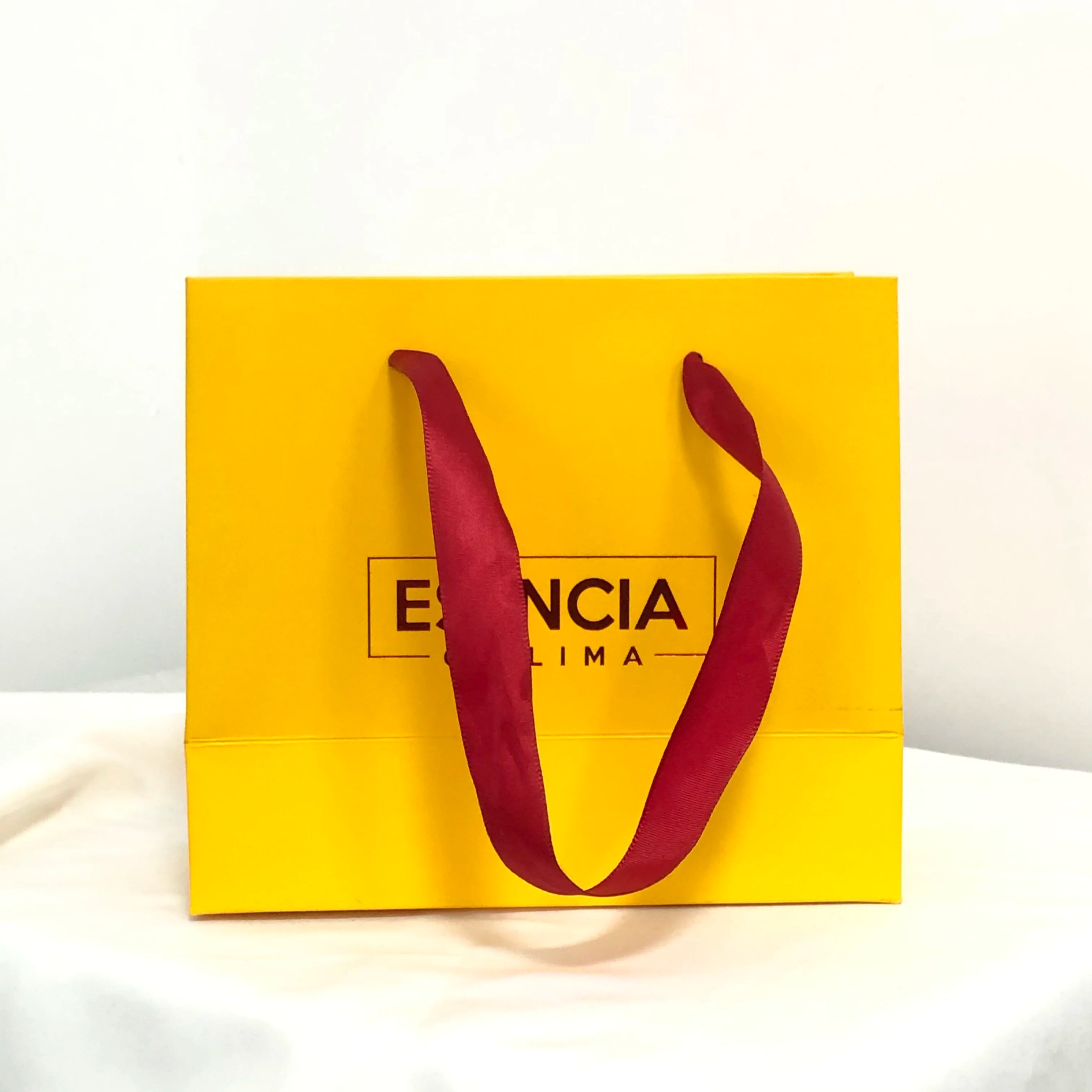 Custom Gift Bag Clothes Branded Retail Shopping Paper Bags Luxury Red Foil logo Paper Bags With Rope Handles