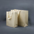 Customised Printed White Cardboard Paper Gift Bag for Clothing Socks Shoes with Your Own Logo