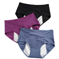 Hot Sell Menstrual Womens Leak Proof Briefs Mid Waist Ladies Panties