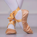 Satin Ribbon Adult Ballet Dance Shoes Female Teacher Shoes Soft Sole Practice Cat Claw Dance Shoes