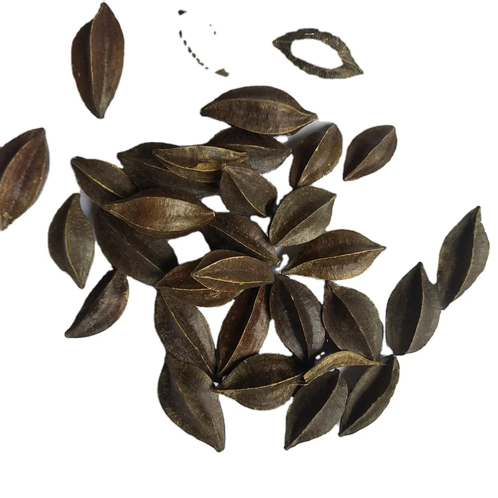 Raw Dried Natural Quisqualis Indica Rangoon Creeper Fruits for Sale