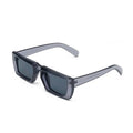 3695 Retro Shades for Women Uv400 Protection Sunglasses Women Luxury Brand Black Lady Sunglasses Unisex Square Sunglasses