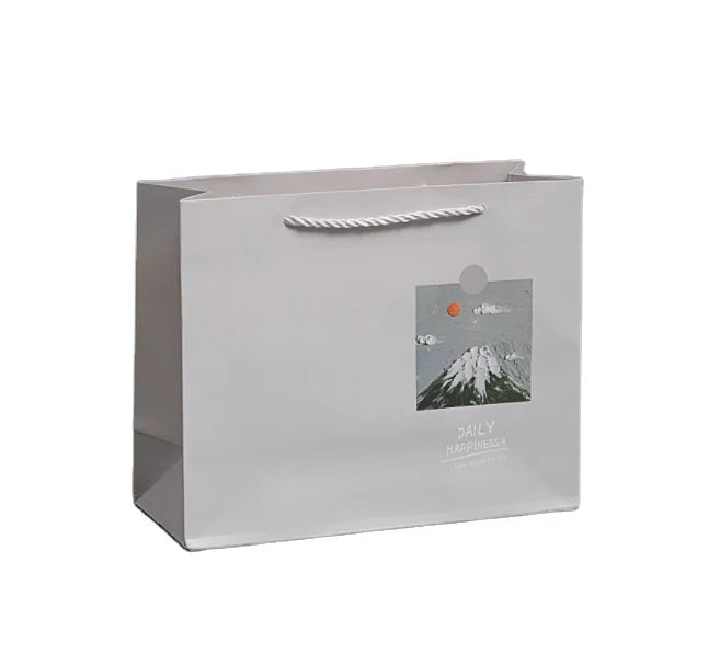 Custom Recyclable Art Paper Boutique Retail Clothing Packaging Shopping/Gift Bag with Logo