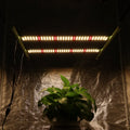 Kingbrite 120W samsung LM301B/LM301H bar Epistar 660nm bar LED Plant Grow Lamp Light for Indoor Plants 2x2ft