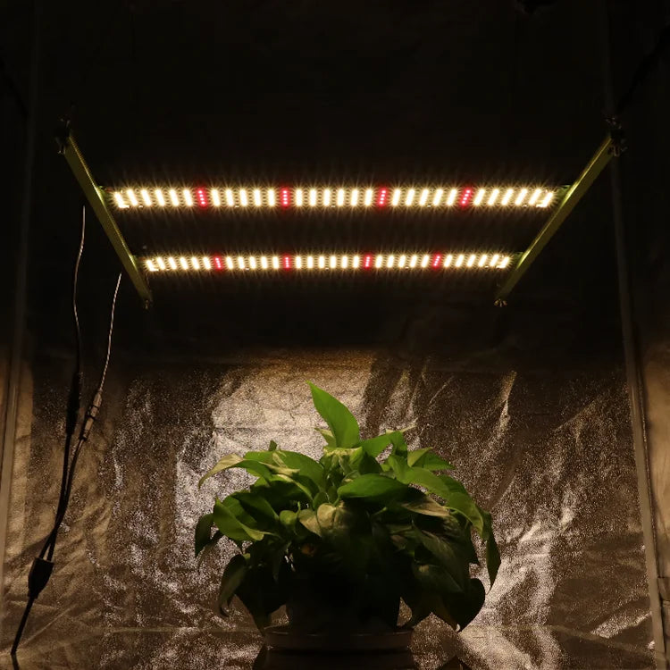 Kingbrite 120W samsung LM301B/LM301H bar Epistar 660nm bar LED Plant Grow Lamp Light for Indoor Plants 2x2ft