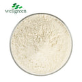Wholesale Price Wellgreen Cosmetic Grade 99% Pure ISO Certified Kojic Acid Dipalmitate Powder