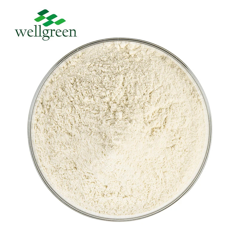 Wholesale Price Wellgreen Cosmetic Grade 99% Pure ISO Certified Kojic Acid Dipalmitate Powder