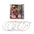 Alice A306 Series Acoustic Folk Guitar Strings Set Stainless Steel Wire Steel Core Silver-plated Copper Alloy Wound 6pcs/ Set