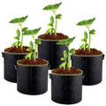 Ranye 2 Gallon Grow Bags Breathable Non Woven Fabric Pots with Handles Felt Palenter Container