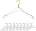 Clear Acrylic Hangers 20 Pack  Plastic Hangers Non-Slip with Golden Chrome Steel Hook Clothes Hangers Space Saving