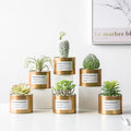Wholesale Luxury Large Empty Indoor Desk Metallic Plants Pots Large Gold Round Metal Flower Pot MegaBDM