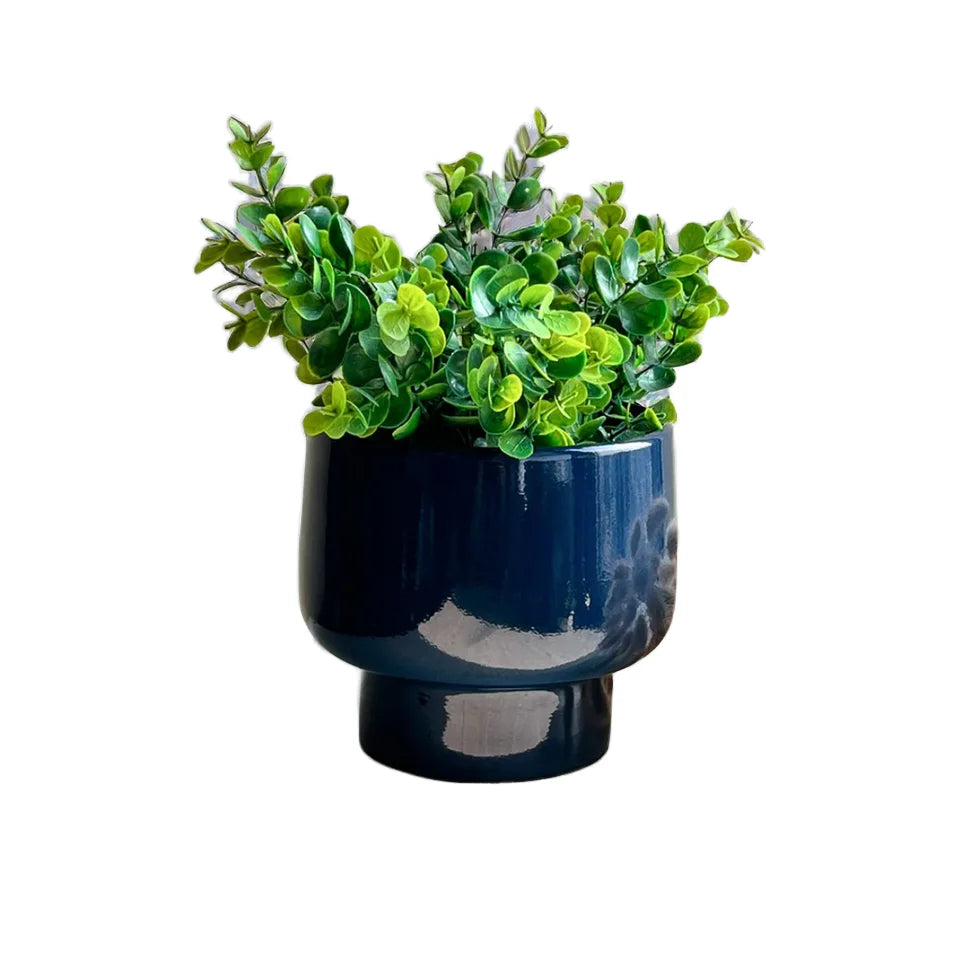White Ceramic Flower Pot with Asparagus Fern and Green Radish for Home Balcony Table and Outdoor Garden Decoration