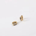Fenny 18K Gold-plated Wholesale Waterproof&No Fade Delicate Clear Zirconia Huggie Stainless Steel Earring for Women