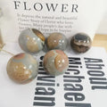 High-Quality Ocean Quartz Stones Natural Crystals for Sale Crystal Ball Ocean Stone Sphere for Home Decoration