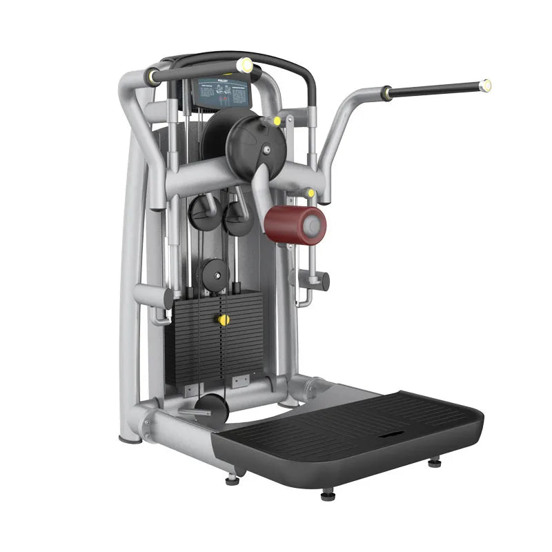 Factory Wholesale Commercial High Quality Gym Fitness Equipment