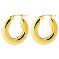 Wholesale Stainless Steel Hoop Earrings 18K Gold Plated PVD Chunky Hoop Earring for Women Fashion Jewelry Silver Cheap Factory