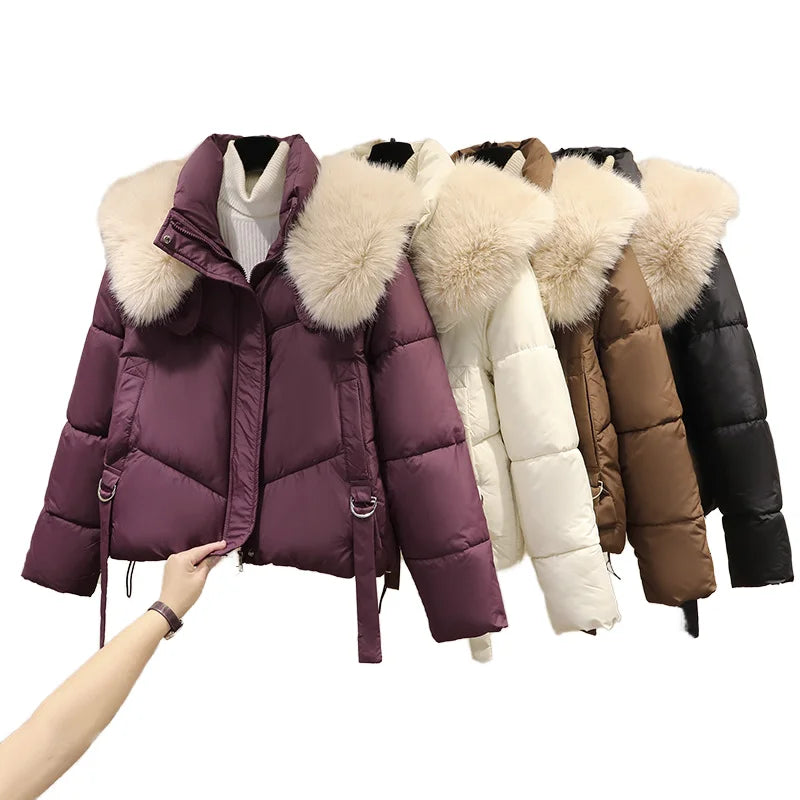 Korean Women's Down Coats With Fur Collar Women's Winter Jacket 2024 Outdoor Short Jacket Winter Crop Puffer Jacket Women