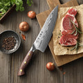 HEZHEN New Original Design Chef Knife High Quality 67 Layers Damascus Steel Micarta Handle Sharp Kitchen Knives