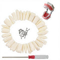 28pc/set Dental Teeth Model for Dental Technician Practice Preparation Removable Tooth Dentistry Training Model