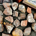 Bulk Wholesale Spiritual Healing Stone Great Price Wood Fossil Raw Stone for Emitted Energy
