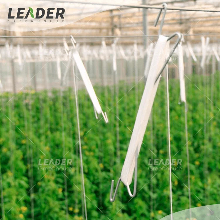 Professional Supplier Agricultural Greenhouse 22CM Tomato Handing Trellis Hooks for Sale Tomato Trellis Hook