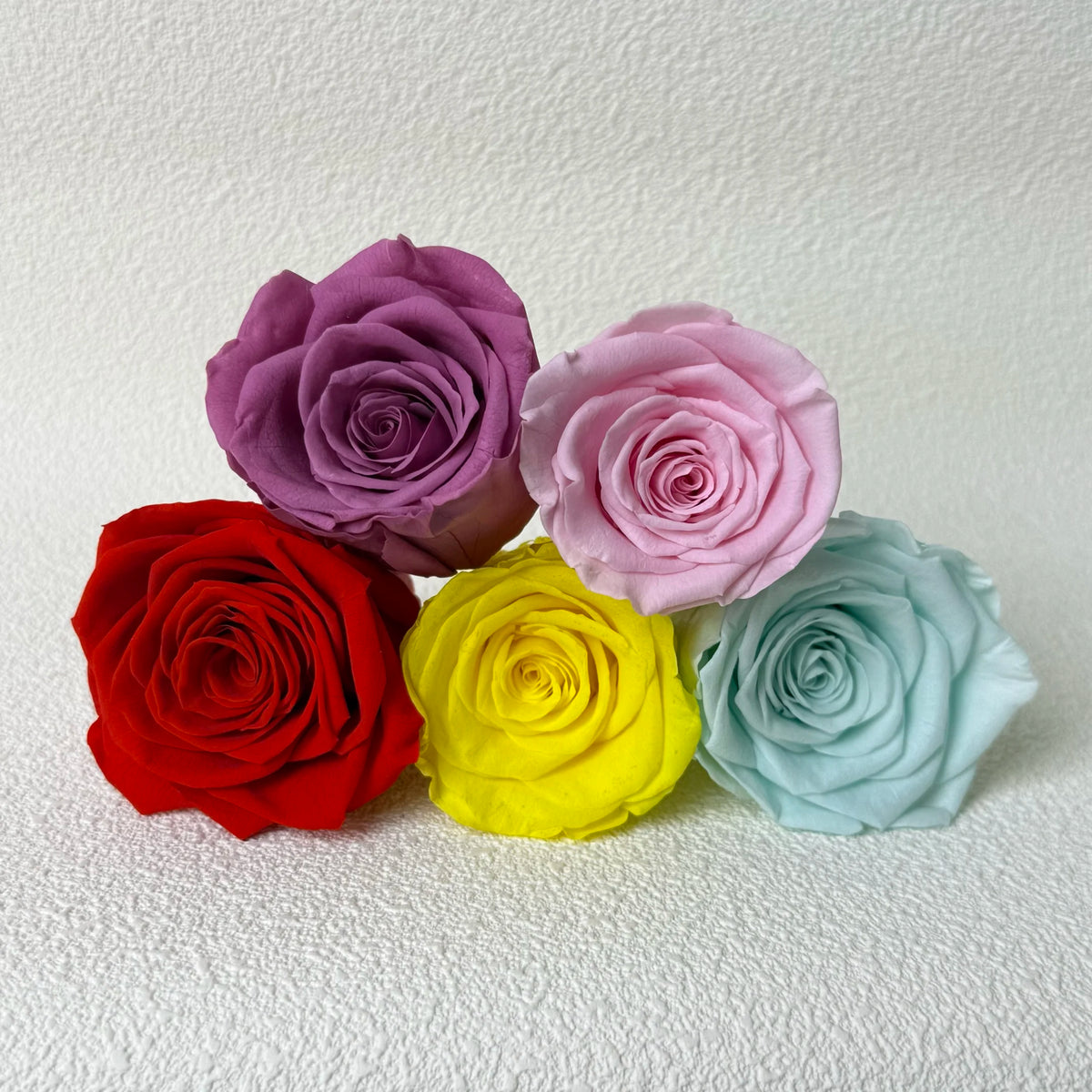 Eternal Rose Head Preserved Roses Grade 3-4 cm Best Quality Real Touch Flower Eco-Friendly Christmas Mother's Day Day MegaBDM