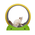 USMILE New Release OEM&ODM Premium Quality Colorful Wooden Silent Cat Exercise Running Wheel Cat Wheel Treadmill for Large Cats