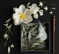15*15cm White Ink Printing Clear Acrylic Wedding Invitations Romantic Olive Leaves Classic Invites Suite MegaBDM