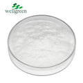 Wellgreen Omega-3 DHA Powder Docosahexaenoic Acid 10% Algae Oil DHA Powder for Brain Health