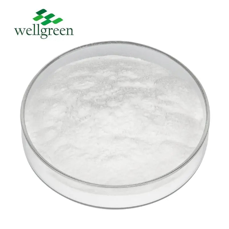 Wellgreen Omega-3 DHA Powder Docosahexaenoic Acid 10% Algae Oil DHA Powder for Brain Health