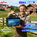 Ubetter QGL-1212 12.8V 100Ah Solar Energy System Home Hybrid Inverter LiFePO4 Semi-Solid State Battery Pack 1280Wh EV 2000-5000