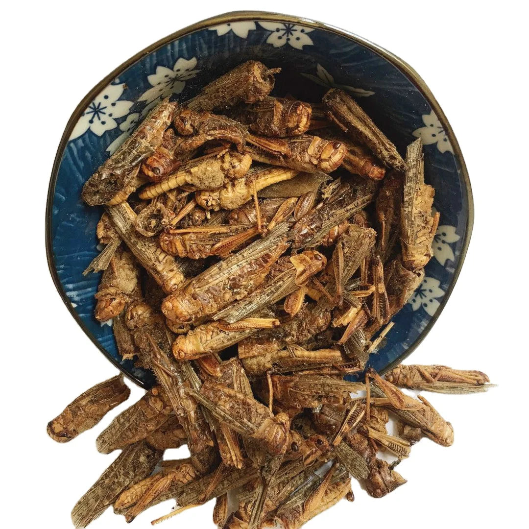 Huang Chong Bulk Freeze-Dried Locusts and Dried Grasshoppers Edible Insects for Birds Single Spices & Herbs Bird Feed