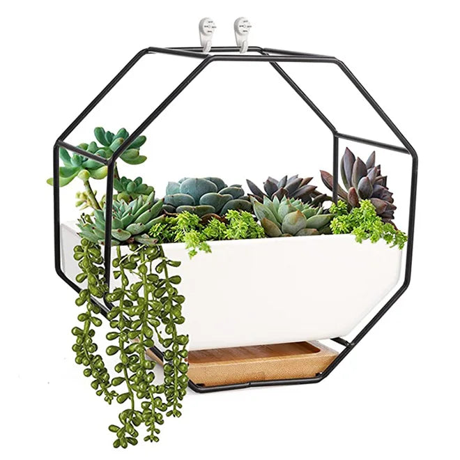 NEW 6.89 Inch Modern Wall-Mounted Container Freestanding Desk Succulent Planter Geometric Octagon Wall Vase for Cactus Flowers