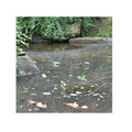 Black Outdoor Pond Nets Mesh Cover Leaf Netting Swimming Pool Water Garden Koi Pond Netting Stakes Included to Protect Fish
