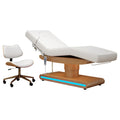 HICOMED Top Seller Modern Massage Bed Facial Chair SPA Reclinable Salon 3 Motor Electric  Beauty Salon Massage Bed