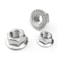 Din6923 Stainless Steel 304 Hex Serrated Flange Nut Polished Finish