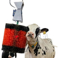 New Arrival Comfortable Blue Electric Cow Cleaning Brush Automatic Rotary Cattle Used Brush with PP Material Box Packed