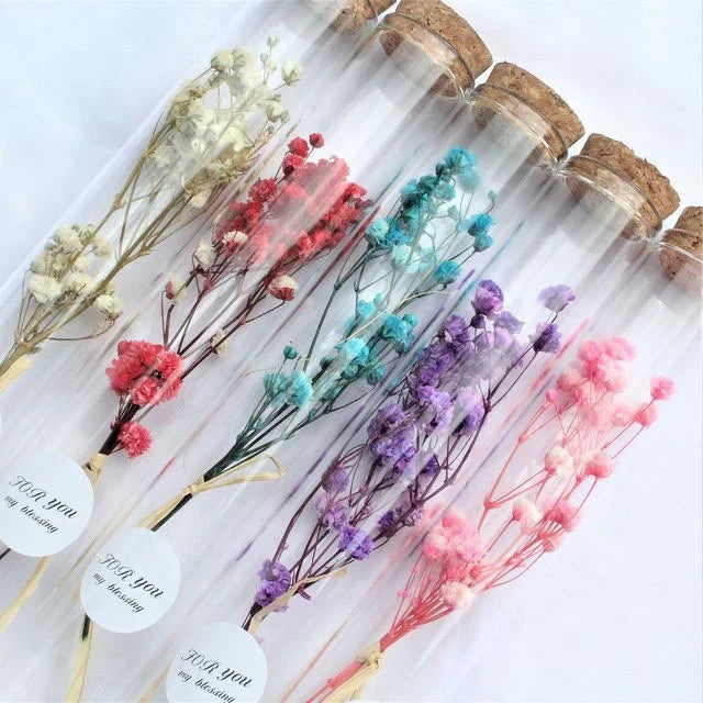 Mother's Day Gift  Wishing Bottle Eternal Rose Wholesale Dried Flowers Mini Bouquet in Glass Tube