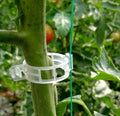 Plant Support Garden Clips for Vine Vegetable Tomato Trellis Clips Make Garden Vegetable Grow Upright Healthier White Transpares