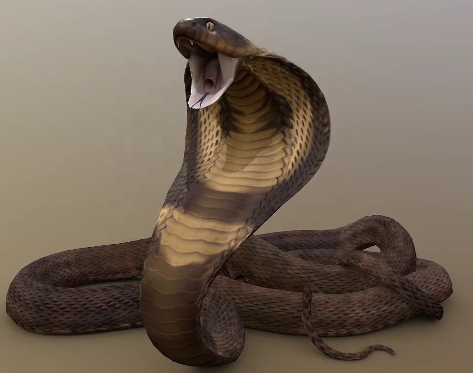 Custom Inflatable Cartoon Snake Advertising Serpant Inflatable King Cobra