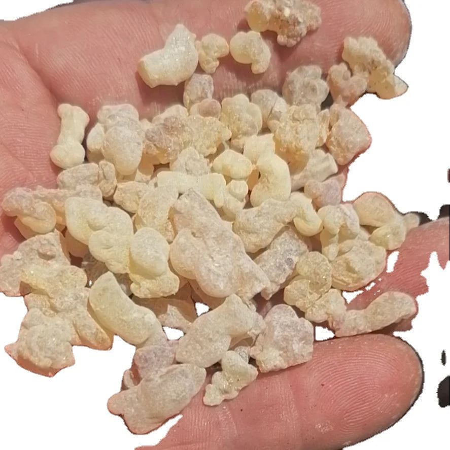 1kg Natural Frankincense Serrata Pure Grains Frankincense Incense Resins