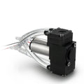 Double Head Pump 1v 2v Mini Brushed Dc Pumps 3v 4v Factory ODM Design for Sale Carbon Brush Micro Pump MegaBDM