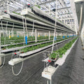 Galvanized PVC Lifting Hanging Hydroponic Strawberry Planting Channel Channel for Greenhouse Hydroponic Growing System