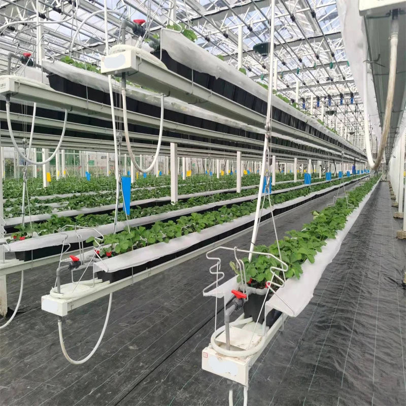 Galvanized PVC Lifting Hanging Hydroponic Strawberry Planting Channel Channel for Greenhouse Hydroponic Growing System