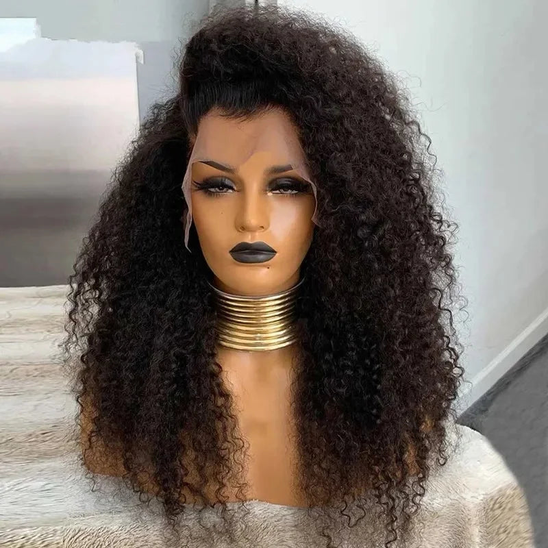 Pre Plucked Natural Hairline Afro Kinky Curly Human Hair Wigs for Black Women360 Curly Wig Vendors WIth Braided 100 Human Hair