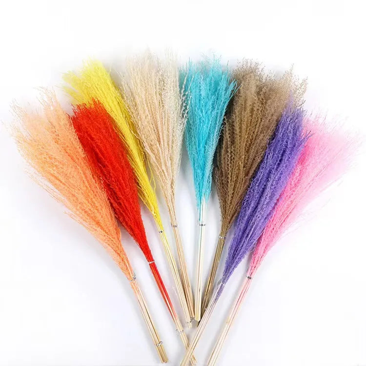 Wholesale Colorful Boho Decore Dried Flower Decorative Flowers Horsetail Whisk for Home Decoration