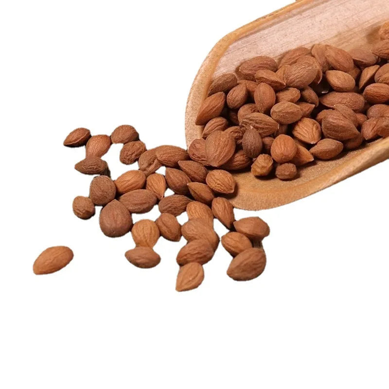 Yu Li Ren New Harvested Dried Chinese Dwarf Cherry Seed for Herb