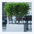 Leizisure Nordic Creative Modern Minimalist Flower Pot Balcony Courtyard Large Floor Flower Pots(GL-3-3) MegaBDM