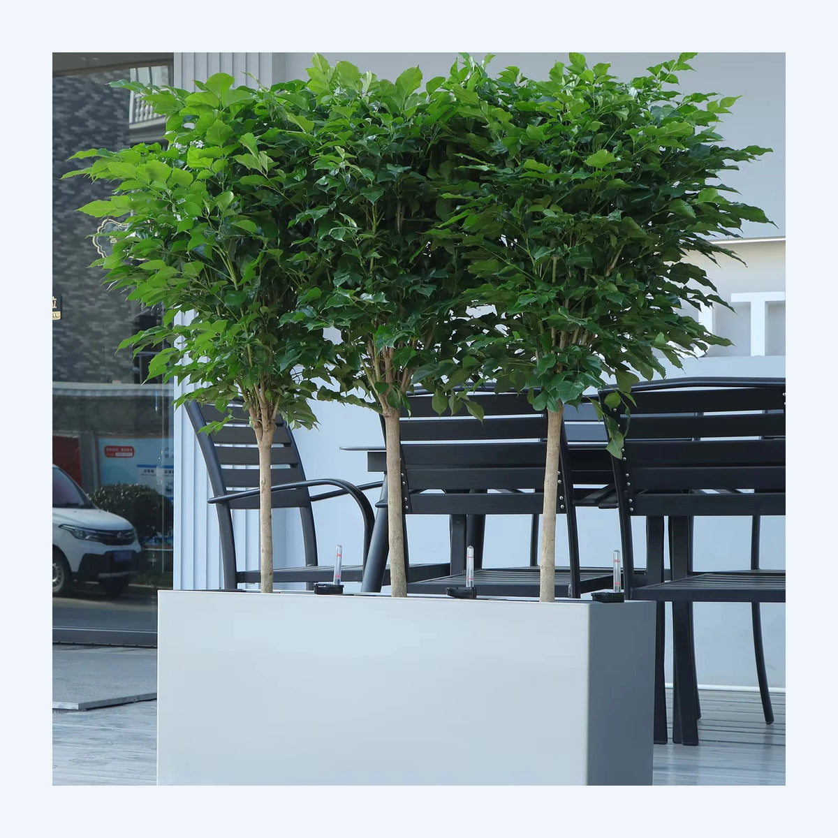 Leizisure Nordic Creative Modern Minimalist Flower Pot Balcony Courtyard Large Floor Flower Pots(GL-3-3) MegaBDM