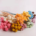 Low Price Preserved Billy Balls-Natural Craspedia Flowers Fresh Wedding Decor and for Valentine's Day or Graduation
